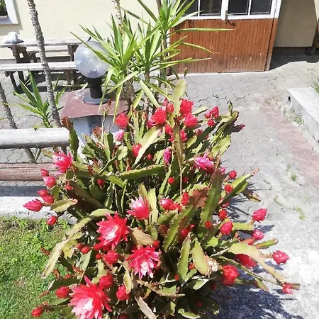 Baltazár 3* Liptovska Luzna