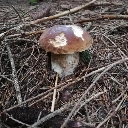 Baltazár Casa de hóspedes